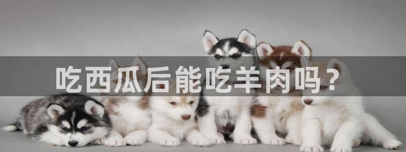 黑料,:吃西瓜后能吃羊肉吗?