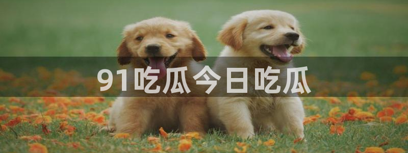吃瓜去哪个网:91吃瓜今日吃瓜