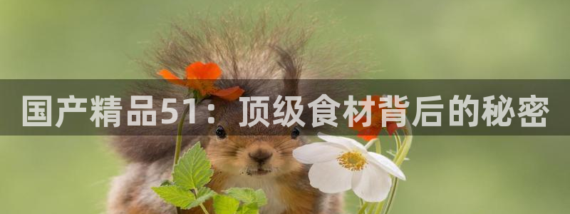 黑料黑料:国产精品51:顶级食材背后的秘密