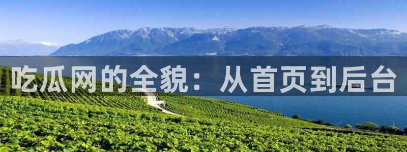 黑料免费:吃瓜网的全貌:从首页到后台
