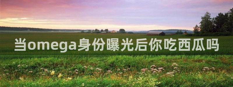 51吃瓜网今日吃瓜热门大瓜:当omega身份曝光后你吃西瓜吗