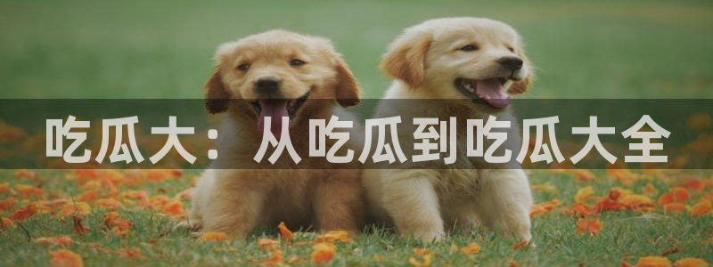 51吃瓜全网最快的吃瓜网站:吃瓜大:从吃瓜到吃瓜大全
